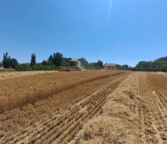ASAJA Valladolid exige que se cumpla la Ley de la Cadena Alimentaria con el cereal ASAJA Valladolid exige que se cumpla la Ley de la Cadena Alimentaria con el cereal