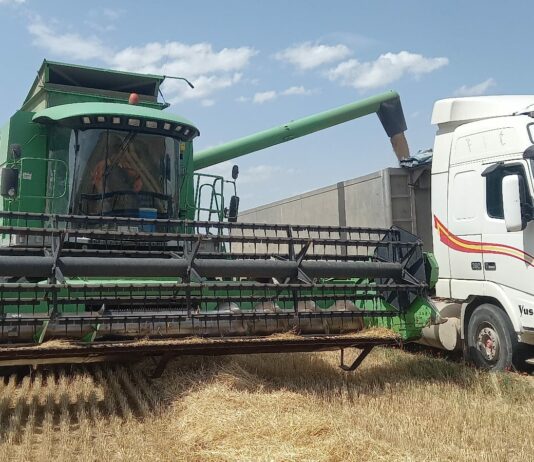 ASAJA Valladolid pide a la Consejería de Agricultura que asuma sus competencias y realice inspecciones de oficio ante la compra-venta de cereal por debajo de los costes de producción Ley de la Cadena Alimentaria.