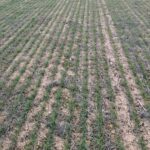 ASAJA Valladolid lanza un curso online de Transición a la Agricultura de Conservación ASAJA Valladolid lanza un curso online de Transición a la Agricultura de Conservación