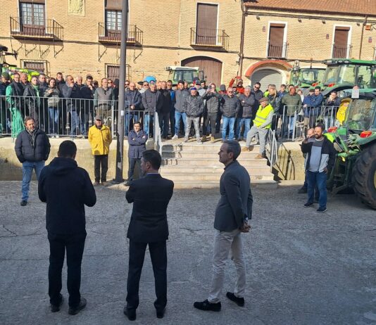 ASAJA Ávila, Segovia y Valladolid convocan a todos los viticultores afectados por el mildiu a una concentración a las puertas del Consejo Regulador de Rueda Imagen de archivo de la anterior Concentracion ante el Consejo Regulador de Rueda en 2024