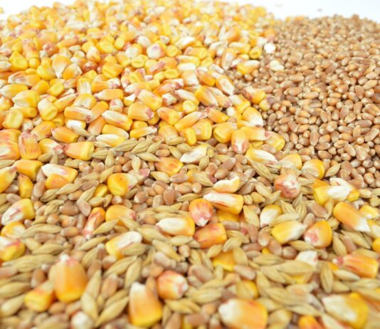 ASAJA Valladolid denuncia que el nuevo acuerdo comercial “modernizado” entre la UE y Ucrania asfixia aún más al campo español ASAJA Valladolid denuncia que el nuevo acuerdo comercial “modernizado” entre la UE y Ucrania asfixia aún más al campo español