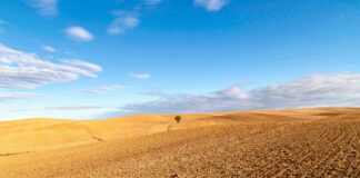 Se venden 2.57 derechos de la región 1 y 11.2 derechos de la región 7