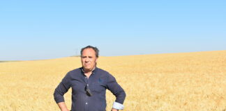 Candidatura alternativa al continuismo de Pedro Barato, en las próximas elecciones en ASAJA