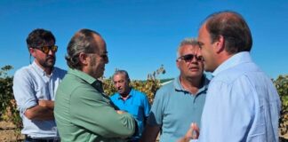 ASAJA Valladolid valora el adelanto de 600 millones de euros de la PAC al campo de Castilla y León