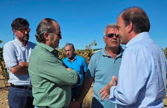 ASAJA Valladolid valora el adelanto de 600 millones de euros de la PAC al campo de Castilla y León