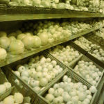 Mercadillo:  Compra · Venta · Trabajo