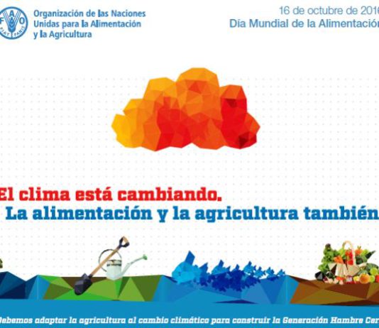 ASAJA comparte el reto de la FAO de construir la generación hambre cero apostando por un sistema agrícola más productivo y sostenible ASAJA comparte el reto de la FAO de construir la generación hambre cero apostando por un sistema agrícola más productivo y sostenible