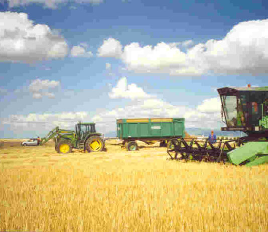 FISCHLER HACE CASO A COAG Y UPA Y MODULA AL 61 POR CIENTO DE LOS ATP Y PROFESIONALES DE CASTILLA Y LEÓN FISCHLER HACE CASO A COAG Y UPA Y MODULA AL 61 POR CIENTO DE LOS ATP Y PROFESIONALES DE CASTILLA Y LEÓN