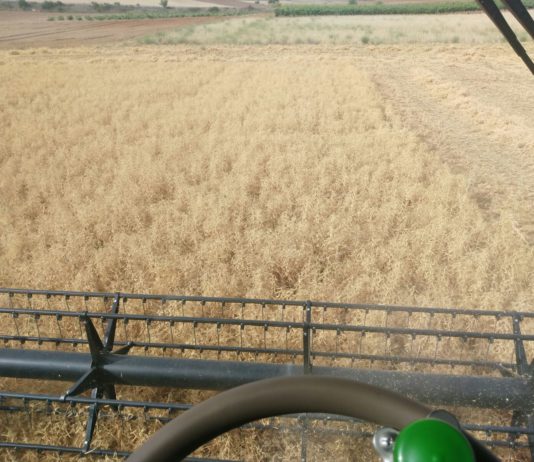 ASAJA critica que el Gobierno imponga vía presupuestos la reducción de la ayuda al gasóleo agrícola ASAJA critica que el Gobierno imponga vía presupuestos la reducción de la ayuda al gasóleo agrícola