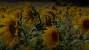 La opinión de ASAJA