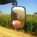 Campaña de maíz ASAJA valora las nuevas reducciones de módulos del IRPF para hacer frente a circunstancias excepcionales de 2016