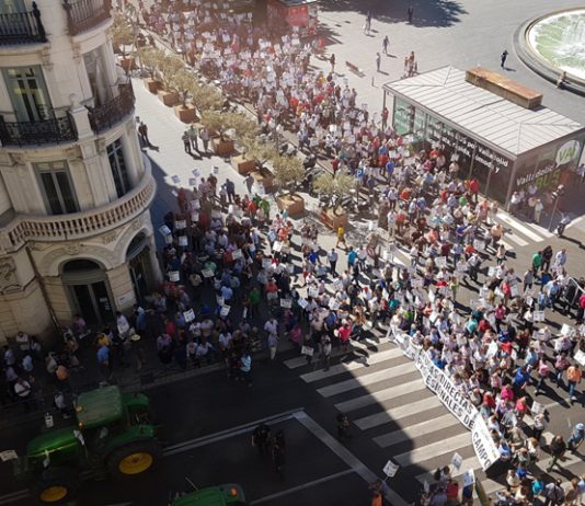 Miles de agricultores y ganaderos salen a la calle para pelear por su dignidad Miles de agricultores y ganaderos salen a la calle para pelear por su dignidad