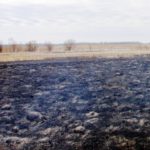 La Junta amplía el listado de municipios y localidades afectados por los incendios forestales del verano de 2026 Los agricultores ya pueden presentar su solicitud para la quema de rastrojos de cereales