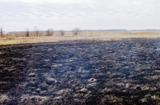 Los agricultores ya pueden presentar su solicitud para la quema de rastrojos de cereales Los agricultores ya pueden presentar su solicitud para la quema de rastrojos de cereales