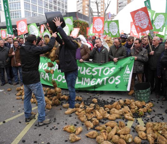 Agricultores de toda Castilla y León reclaman a Montoro la retirada del impuesto dulce Agricultores de toda Castilla y León reclaman a Montoro la retirada del impuesto dulce