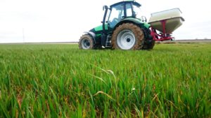 Hacienda reduce la presión fiscal a las explotaciones cerealistas por la merma de ingresos en 2016 por culpa de los bajos precios