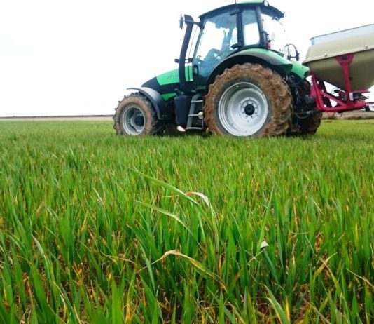 Hacienda reduce la presión fiscal a las explotaciones cerealistas por la merma de ingresos en 2016 por culpa de los bajos precios Hacienda reduce la presión fiscal a las explotaciones cerealistas por la merma de ingresos en 2016 por culpa de los bajos precios