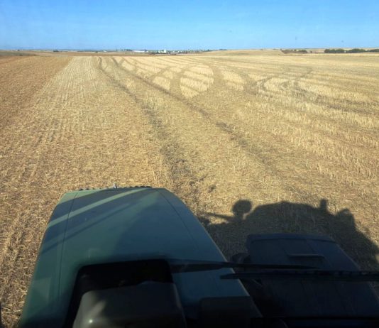 ASAJA teme que Hacienda haya bloqueado los pagos a los agricultores ASAJA teme que Hacienda haya bloqueado los pagos a los agricultores