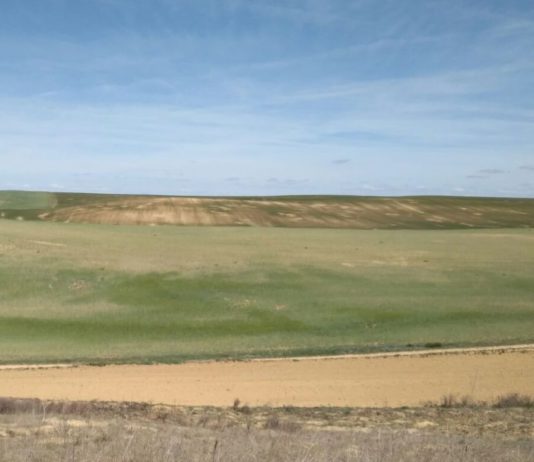 El ministerio, como la consejería: buenas palabras y cero presupuesto El ministerio