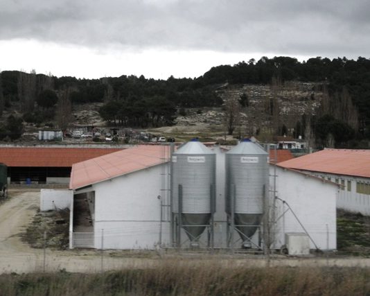 ASAJA pide una rápida convocatoria de la ayuda al seguro de cadáveres de ganado para superar el retraso acumulado ASAJA pide una rápida convocatoria de la ayuda al seguro de cadáveres de ganado para superar el retraso acumulado