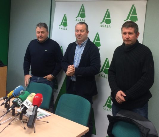ASAJA pide que se refuercen los controles para que el cordero importado no se venda como lechazo de nuestra tierra ASAJA pide que se refuercen los controles para que el cordero importado no se venda como lechazo de nuestra tierra