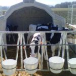 Convocadas las ayudas a las actividades de control oficial del rendimiento lechero en Castilla y León El 41% de las explotaciones de vacuno de leche de Castilla y León no ha incrementado su tamaño en al menos los dos últimos años