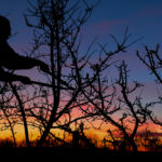 1er Premio Adriana Ferrer, de 14 años, de Grajal de Campos (León)