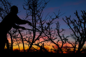 1er Premio Adriana Ferrer, de 14 años, de Grajal de Campos (León)