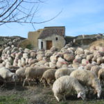 Premio: Luis V. Estébanez García