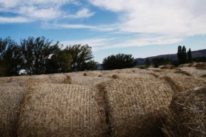 Laura Gutiérrez Díez, de 14 años, de Palencia, por su serie de fotografías