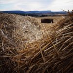 Laura Gutiérrez Díez