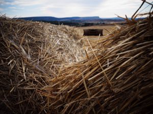 Laura Gutiérrez Díez, de 14 años, de Palencia, por su serie de fotografías