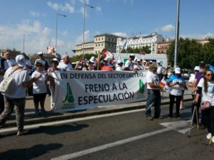 Marcha blanca 12. Madrid