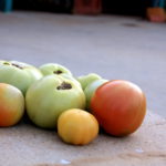 Accésit: Claudia Rodríguez Santamarta
