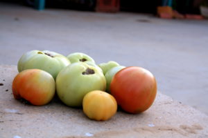 Accésit: Claudia Rodríguez Santamarta