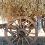 Accésit: Jorge de la Cruz León