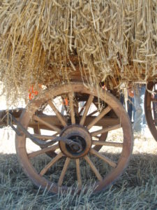 Accésit: Jorge de la Cruz León