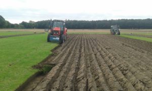 64 Campeonato Mundial de Arada 2016, York (Inglaterra)