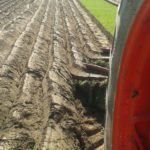 64 Campeonato Mundial de Arada 2016, York (Inglaterra)