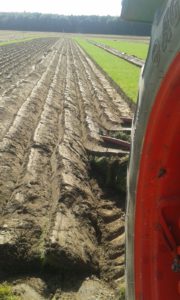 64 Campeonato Mundial de Arada 2016, York (Inglaterra)