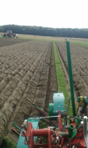 64 Campeonato Mundial de Arada 2016, York (Inglaterra)