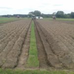 64 Campeonato Mundial de Arada 2016, York (Inglaterra)