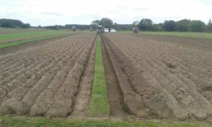 64 Campeonato Mundial de Arada 2016, York (Inglaterra)