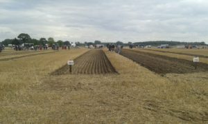 64 Campeonato Mundial de Arada 2016, York (Inglaterra)