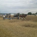 64 Campeonato Mundial de Arada 2016, York (Inglaterra)