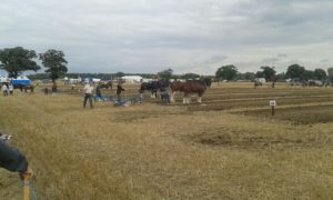 64 Campeonato Mundial de Arada 2016, York (Inglaterra)