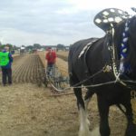 64 Campeonato Mundial de Arada 2016, York (Inglaterra)