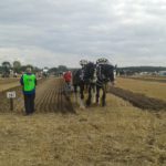 64 Campeonato Mundial de Arada 2016, York (Inglaterra)