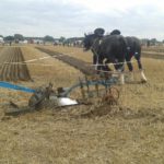 64 Campeonato Mundial de Arada 2016, York (Inglaterra)