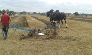 64 Campeonato Mundial de Arada 2016, York (Inglaterra)